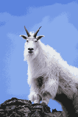   Adobe Photoshop 7