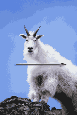   Adobe Photoshop 7