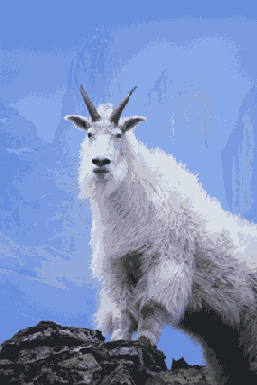  Adobe Photoshop 7