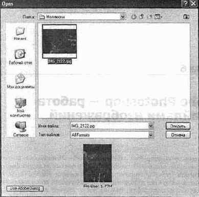 Photoshop CS2 и цифровая фотография