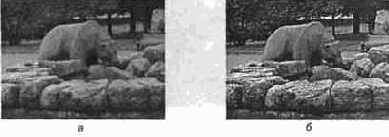 Photoshop CS2 и цифровая фотография