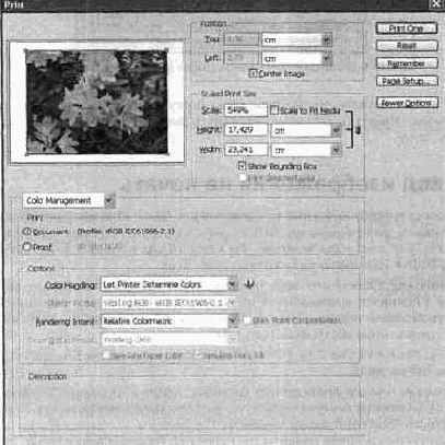 Photoshop CS2 и цифровая фотография
