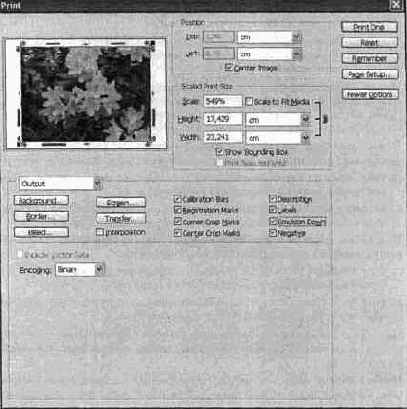 Photoshop CS2 и цифровая фотография