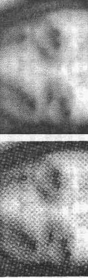 Photoshop CS2 и цифровая фотография