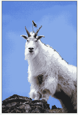   Adobe Photoshop 7