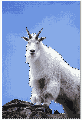   Adobe Photoshop 7