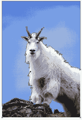   Adobe Photoshop 7