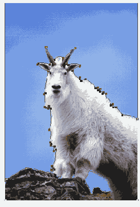   Adobe Photoshop 7
