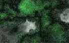   Adobe Photoshop 7
