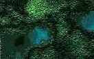   Adobe Photoshop 7
