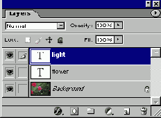   Adobe Photoshop 7