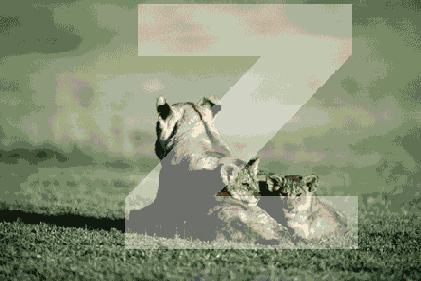   Adobe Photoshop 7
