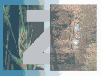   Adobe Photoshop 7