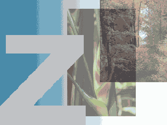   Adobe Photoshop 7