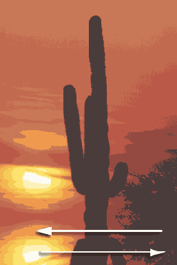   Adobe Photoshop 7