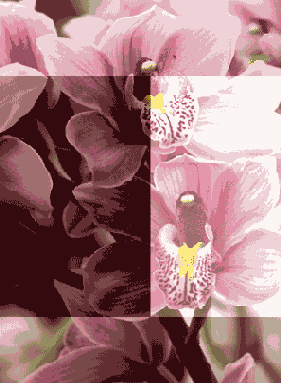   Adobe Photoshop 7