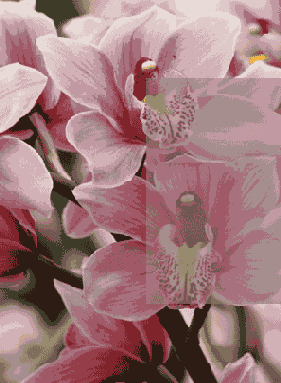   Adobe Photoshop 7