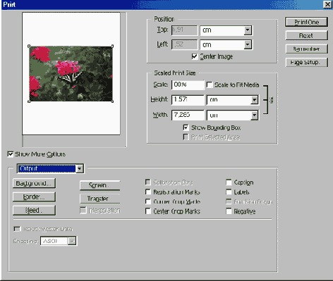   Adobe Photoshop 7
