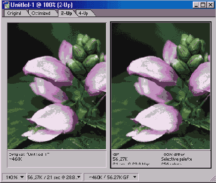   Adobe Photoshop 7