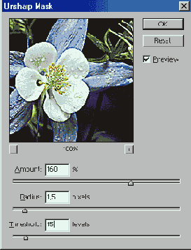   Adobe Photoshop 7
