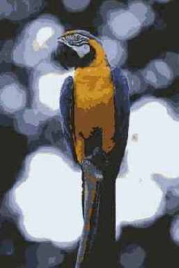   Adobe Photoshop 7