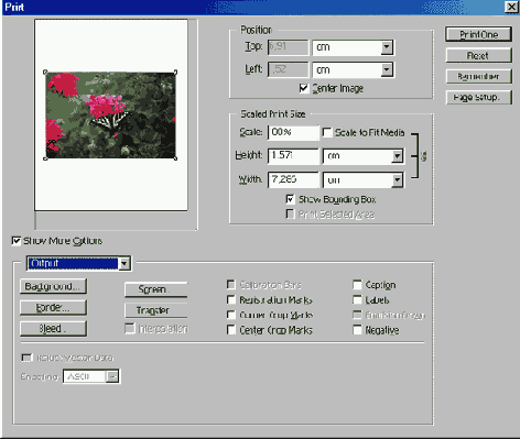    Adobe Photoshop 7

