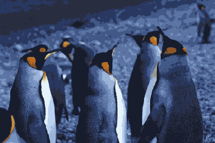Иллюстрированный самоучитель по Adobe Photoshop 7