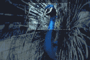 Иллюстрированный самоучитель по Adobe Photoshop 7