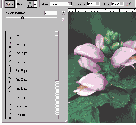 Иллюстрированный самоучитель по Adobe Photoshop 7
