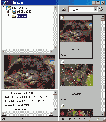 Иллюстрированный самоучитель по Adobe Photoshop 7
