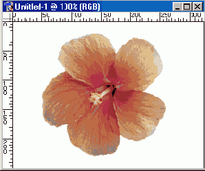 Иллюстрированный самоучитель по Adobe Photoshop 7