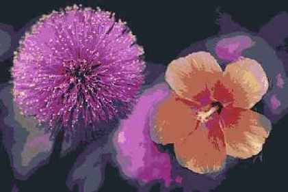 Иллюстрированный самоучитель по Adobe Photoshop 7