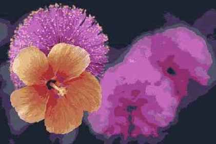 Иллюстрированный самоучитель по Adobe Photoshop 7