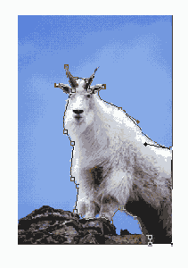 Иллюстрированный самоучитель по Adobe Photoshop 7
