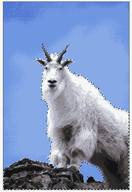 Иллюстрированный самоучитель по Adobe Photoshop 7