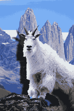 Иллюстрированный самоучитель по Adobe Photoshop 7