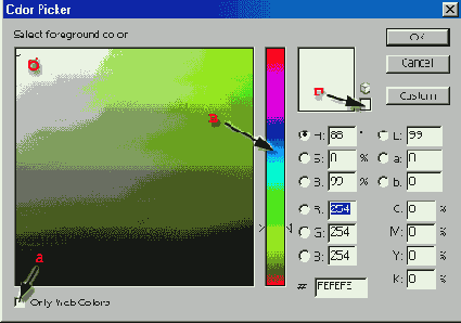    Adobe Photoshop 7
