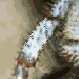    Adobe Photoshop 7
