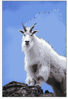   Adobe Photoshop 7