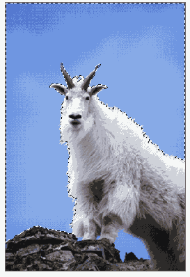   Adobe Photoshop 7
