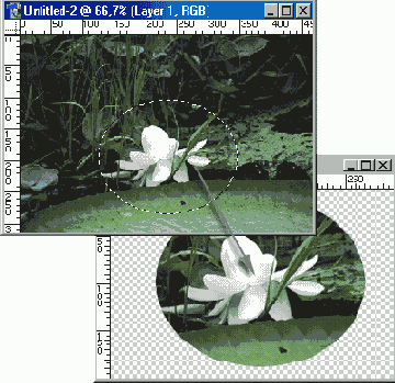   Adobe Photoshop 7