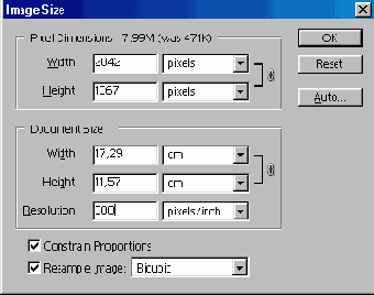   Adobe Photoshop 7