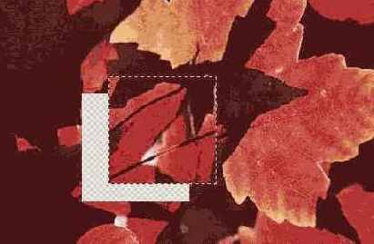   Adobe Photoshop 7