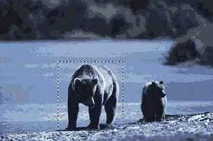   Adobe Photoshop 7