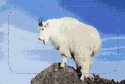   Adobe Photoshop 7