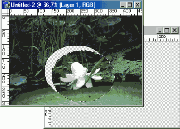   Adobe Photoshop 7