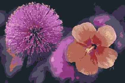   Adobe Photoshop 7