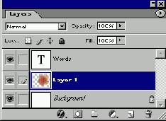   Adobe Photoshop 7