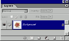   Adobe Photoshop 7
