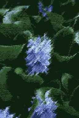   Adobe Photoshop 7
